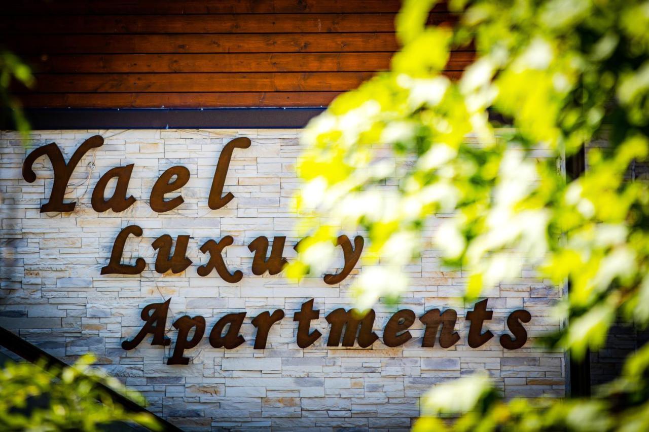 Yael Luxury Apartments 2 Buşteni Eksteriør bilde